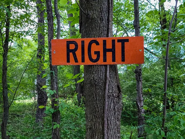 Bright Orange Wooden Sign Right Text Tree Trunk Green Forest — Stock Photo, Image