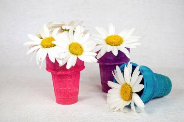 White daisies in colorful ice cream cones on a paper lace doily