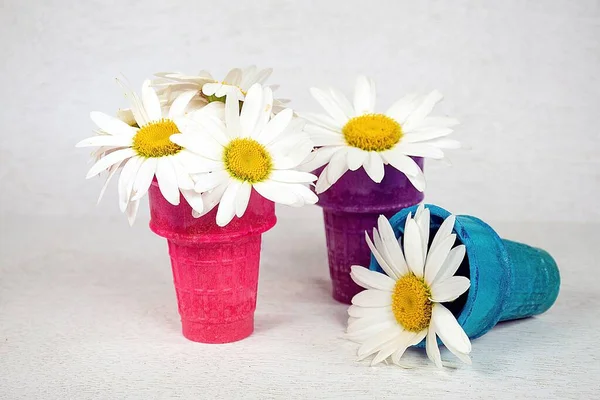 White Daisies Colorful Ice Cream Cones Paper Lace Doily — стоковое фото