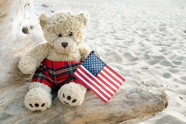 Urso Peluche Tronco Troncos Praia Com Uma Bandeira Americana — Fotografia de Stock