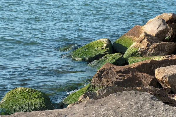 Slem Grön Mossa Stranden Stenar Med Blått Vatten — Stockfoto