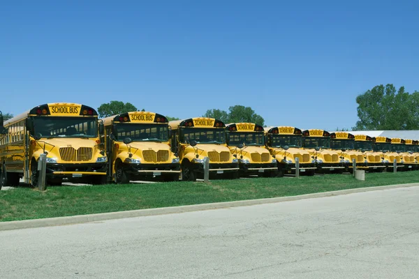 School buses — Stock Photo, Image