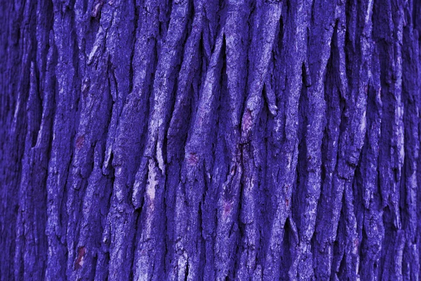 Bark texture — Stock Photo, Image