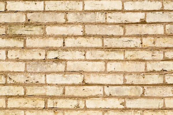 煉瓦背景 — ストック写真