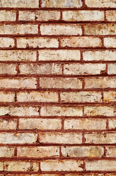 Brick background — Stock Photo, Image