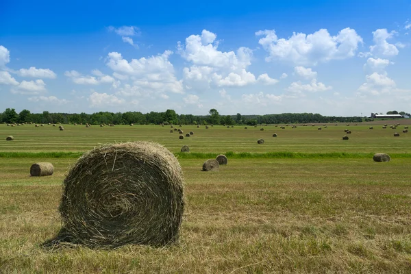 Hay bags — 图库照片