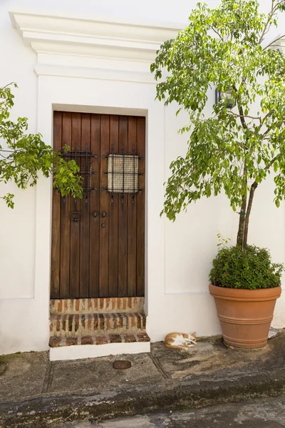 Spanish door — Stock Photo, Image