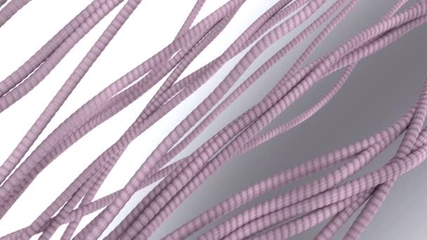 Collagen Fibers Model Scientific Animation Showing Structure Skin Tissues Aging — Αρχείο Βίντεο