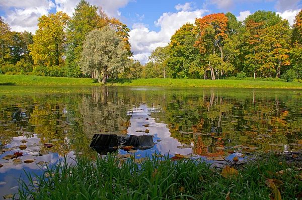 Вид на осенний ландшафт реки и деревьев — стоковое фото