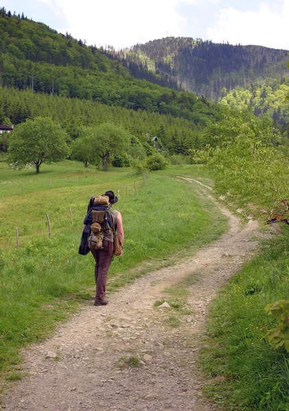 Ensam man färdas längs skogen gångstig Stockbild