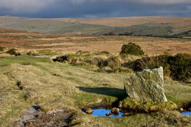 Dartmoor Milli Parkı, devon, Büyük Britanya'manzara