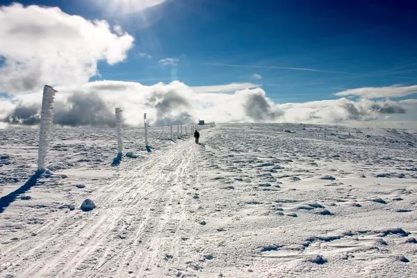 Человек, идущий по снежной тропинке в солнечный день — стоковое фото