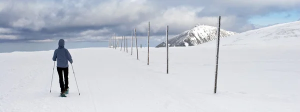 sniezka için önde gelen karlı yolda yürüyen kişi