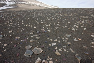 Sandy Surface Covered by Little Stones in Tundra in the Svalbard Archipelago. clipart