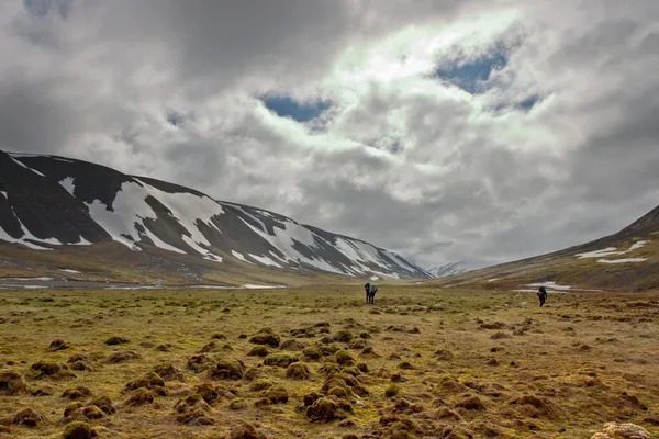 Personen, die in der Tundra auf Spitzbergen in der Arktis wandern Stockbild