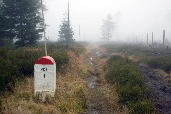 霧の森の小道に沿って境界ボラード — ストック写真