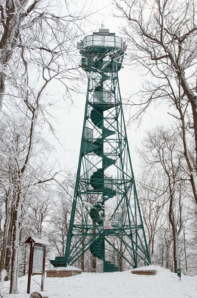 冬にチェコ共和国で studenec 山の上に見張り塔 — ストック写真