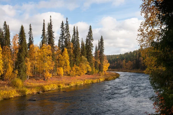 Kleurrijke herfst rivier met in wild bos — Stockfoto