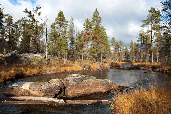 Färgglad höst flod i stenig skog Stockbild