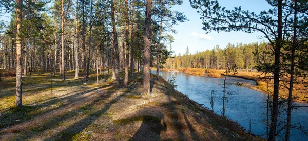 Färgglad höst floden med i vilda skogen Royaltyfria Stockfoton