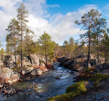 rocky ormanda renkli sonbahar Nehri