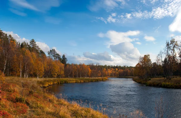 Colorido río de otoño con en bosques salvajes — Foto de Stock