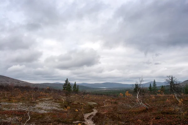 Voetpad in taiga, finland — Stockfoto