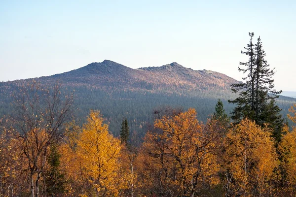 Hösten i taiga skog och berg vid horisonten Stockfoto