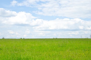 Yeşil tarla ve açık bulutlu mavi gökyüzü