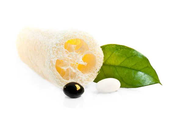 Loofah — Stock Photo, Image