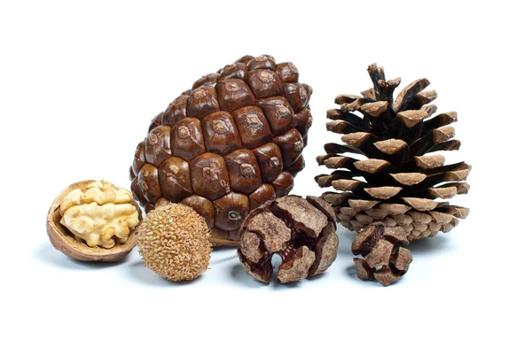 Variety of nuts — Stock Photo, Image