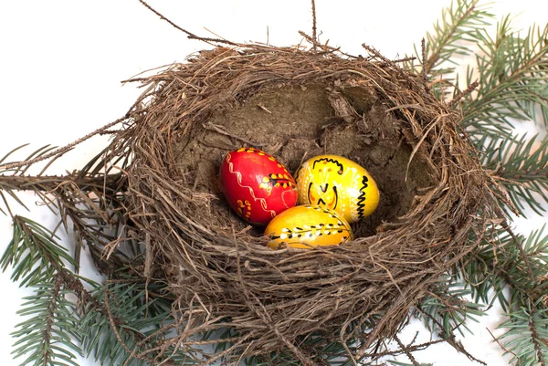 Nest — Stock Photo, Image