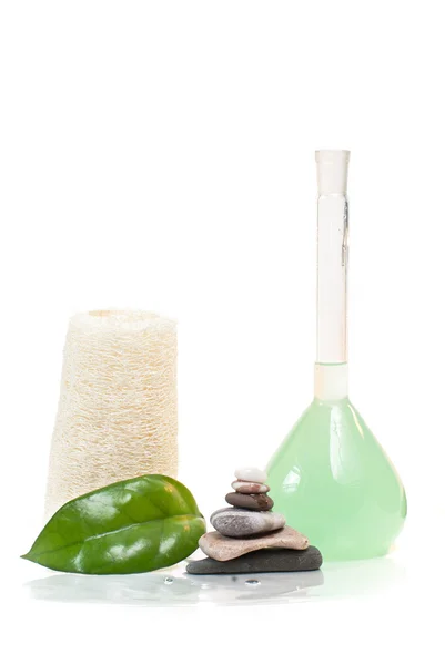 Loofah,green leaf, shampoo and stones — Stock Photo, Image