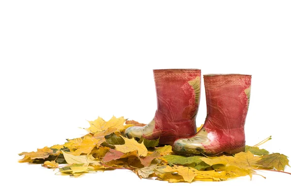 Düşen yapraklar üzerinde çocuk kırmızı lastik çizme — Stok fotoğraf