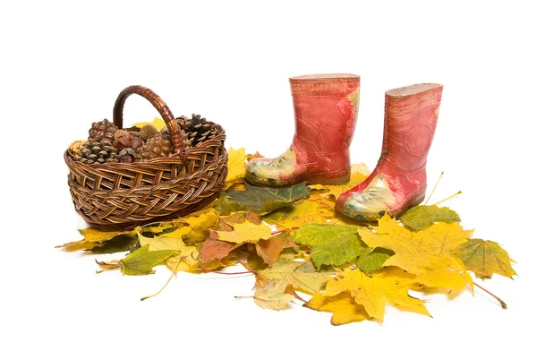 Cesta con conos de pino y botas de goma roja sobre las hojas caídas — Foto de Stock