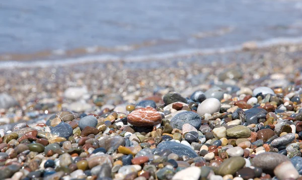 针对海上抓一块石头 — 图库照片