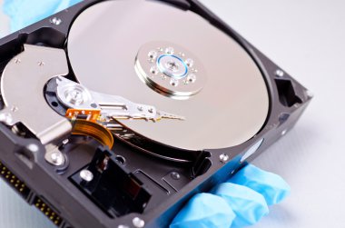 Disk