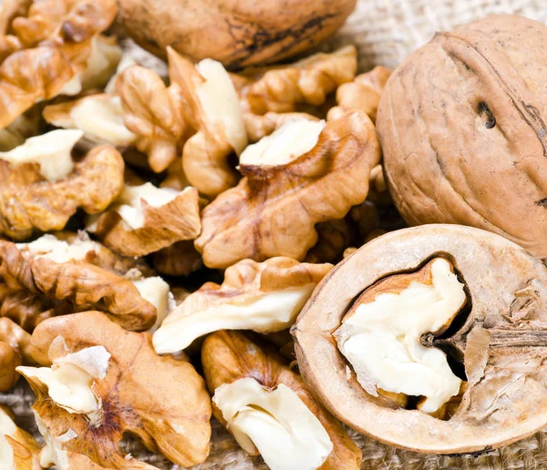 Nut texture — Stock Photo, Image