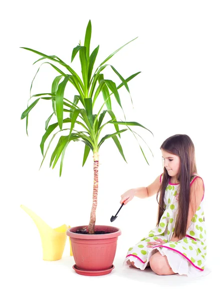 Plant Care — Stock Photo, Image