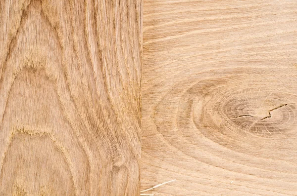 Natural oak wood — Stock Photo, Image