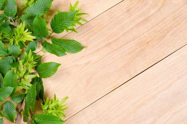 Struttura in legno di quercia — Foto Stock