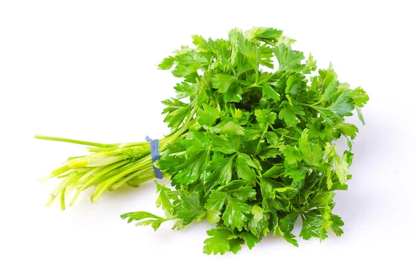 Parsley — Stock Photo, Image