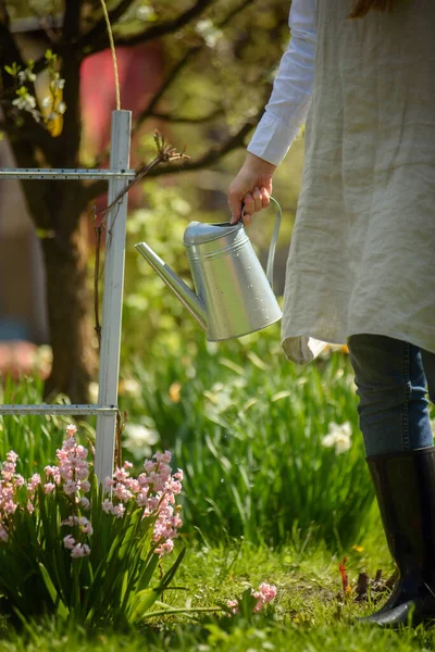 Una Joven Delantal Lino Patio Regando Flores Una Regadera Acero —  Fotos de Stock