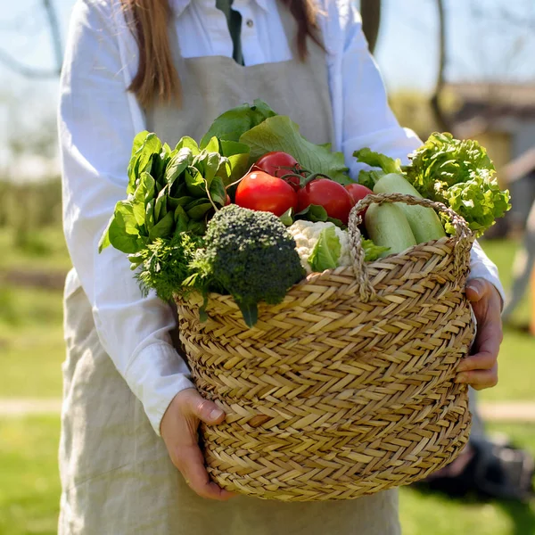阳光灿烂的日子里 一个穿着胶靴 雨靴和亚麻布围裙的白人女人拿着一桶绿色新鲜蔬菜 西兰花 西红柿 卷心菜 花椰菜 — 图库照片