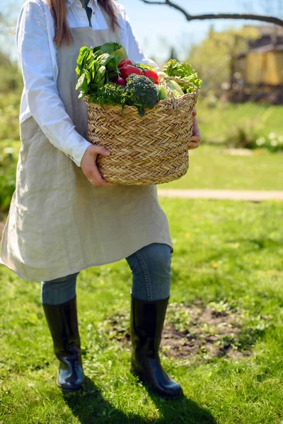 White Woman Gumboots Rain Boots Linen Apron Sunny Day Holds — Stock Photo, Image