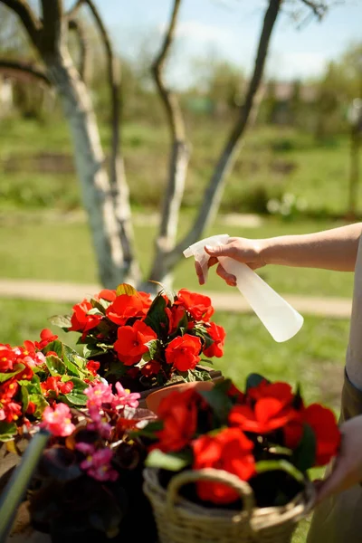 Mão Uma Mulher Jardineira Branca Avental Linho Dia Ensolarado Rega — Fotografia de Stock