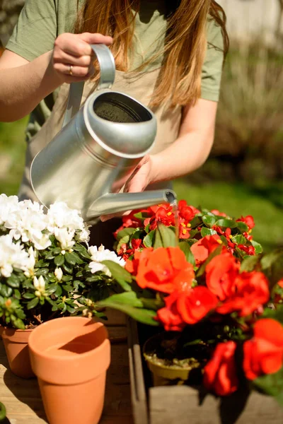 White Woman Gardener Linen Apron Sunny Day Waters Basket Pot — Stock Photo, Image