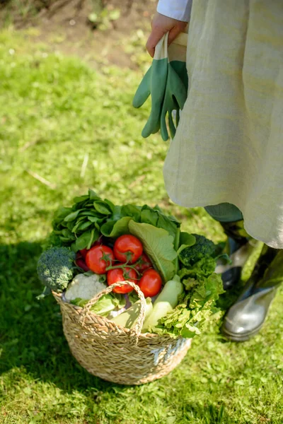 Сонячний День Біля Відра Зеленими Свіжими Овочами Брокколі Салатом Редькою Ліцензійні Стокові Зображення