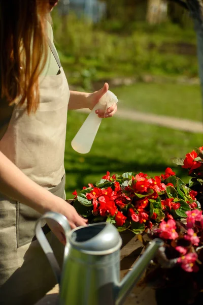 White Gardener Woman Hand Linen Apron Sunny Day Waters Basket Стоковая Картинка