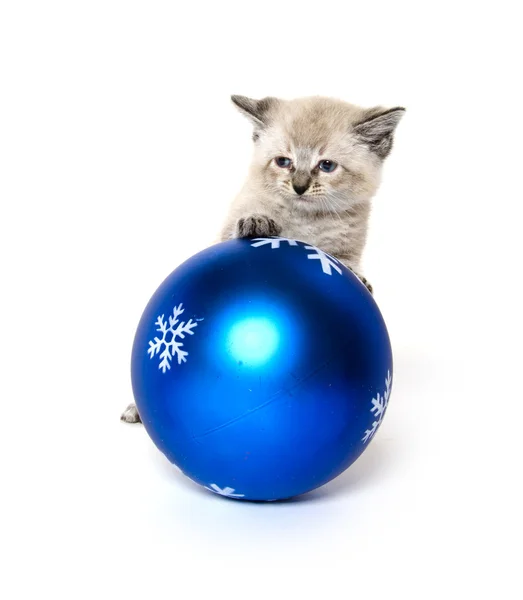 Котенок и рождественский орнамент — стоковое фото